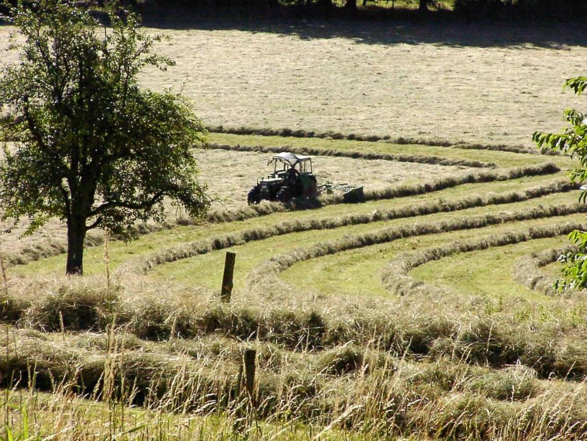 Talblick Appartement In Traumhafter Lage! Ober-Hambach Exteriör bild