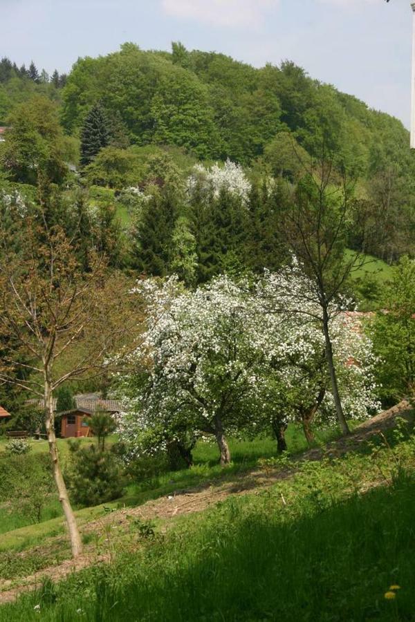 Talblick Appartement In Traumhafter Lage! Ober-Hambach Exteriör bild