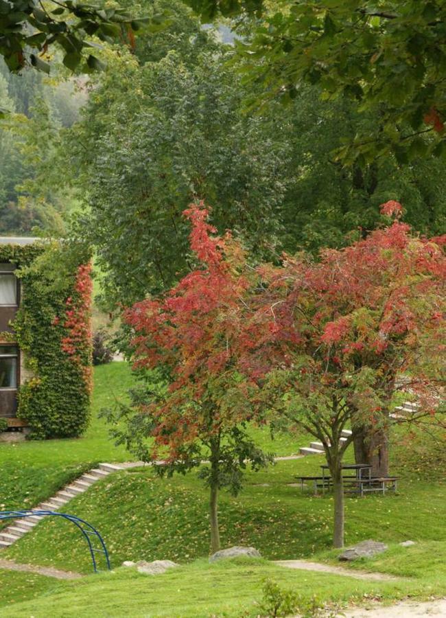 Talblick Appartement In Traumhafter Lage! Ober-Hambach Exteriör bild